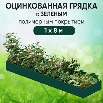 Грядка зеленая (1 х 8)
